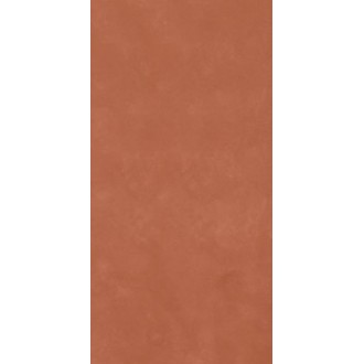 RTN6 CARMI12 RM Керамогранит 60x120