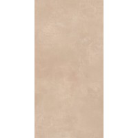 RTN6 TERRA12 RM 60x120