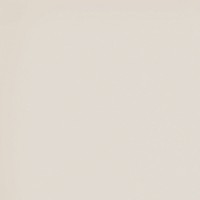 RW 01 Rainbow неполированный 60х60