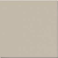 RW 031 Rainbow неполированный 60х60