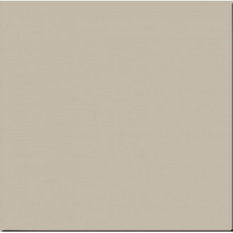 RW 031 Rainbow неполированный 60х60