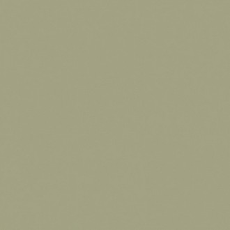 RW 061 Rainbow неполированный 60х60