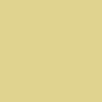 RW 151 Rainbow неполированный 60х60