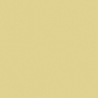 RW 151 Rainbow неполированный 60х60