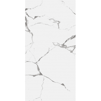 R_NR2003 Керамогранит Evon Statuario Matt 60x120