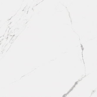 R_PR1004 Керамогранит Carrara Marmo Polished 60x60