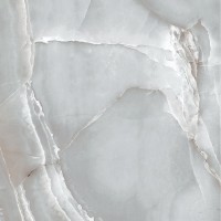 R_PR1012 Керамогранит Delhi Shine Polished 60x60