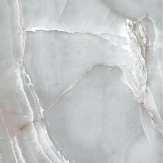 R_PR1012 Керамогранит Delhi Shine Polished 60x60