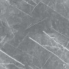 R_PR1019 Керамогранит Carnico Grey Polished 60x60