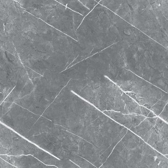 R_PR1019 Керамогранит Carnico Grey Polished 60x60