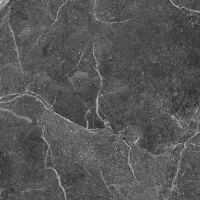 R_PR1022 Керамогранит Tunisia Grey Polished 60x60