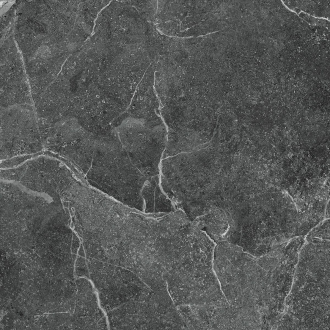 R_PR1022 Керамогранит Tunisia Grey Polished 60x60