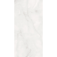R_PR2007 Керамогранит Onyx Bianco Polished 60x120