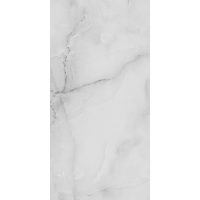 R_PR2008 Керамогранит Onyx Grey Polished 60x120