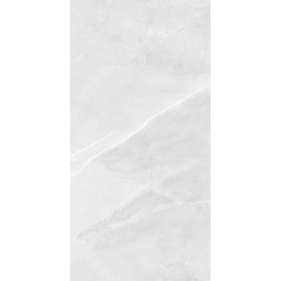 Керамогранит R_PR2015 Керамогранит Floris Bianco Polished 60x120