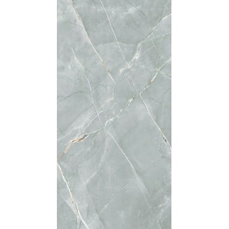 R_PR2019 Керамогранит William Grey Polished 60x120