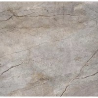 Rain Forest Natural Pulido 120x120