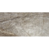 Rain Forest Natural Pulido 60x120