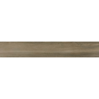 Rainier Taupe 20x120