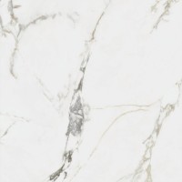 Ravena Pulido Rect. 80x80