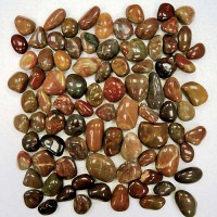 Red jack из натурального камня 305*305