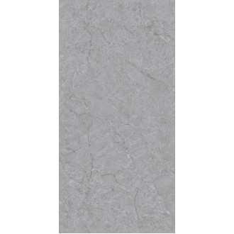 Refine Grey Expo Matt Carving 60x120