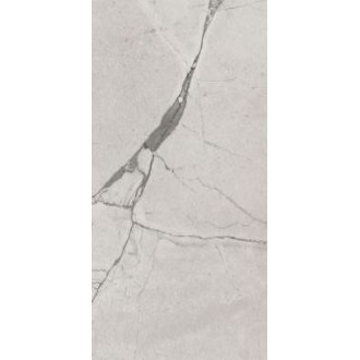 Regal-Silver Mat 60x120