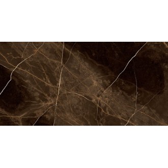 Regal Zuccini Coffee 60x120