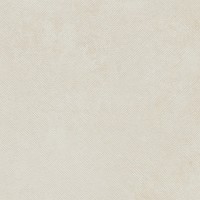 Ricamo beige light 01 60х60