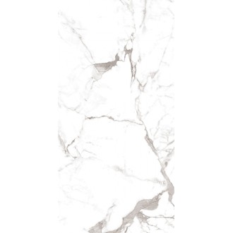 Riseonic Glossy 600x1200