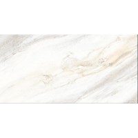 Riyola Gold Polished Rectificado 60x120