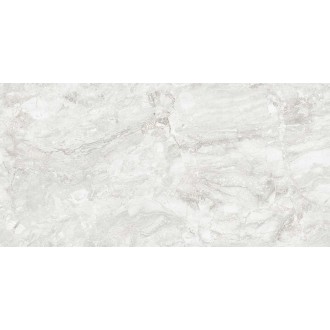 Rizi Silver Carving 60x120