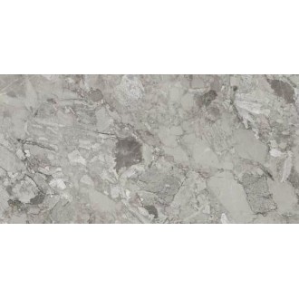 Rock Grey Polished 60x120