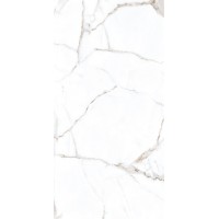 Rockford Satin 60x120