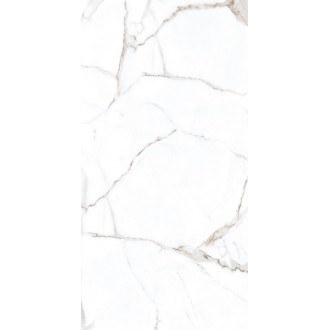 Rockford Satin 60x120