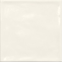 Rodin Arena 15X15