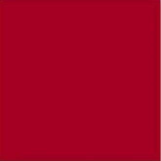 Rojo Volcan g.148 20x20