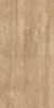 Roma Beige Mat 60x120