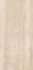 Roma Ivory Mat 60x120