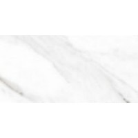 Roman Elite Glossy 60x120