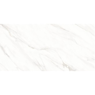 Roman Satvario Glossy 60x120