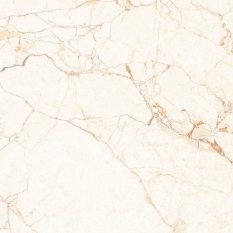 Rosalia Carpet Carving 60x60