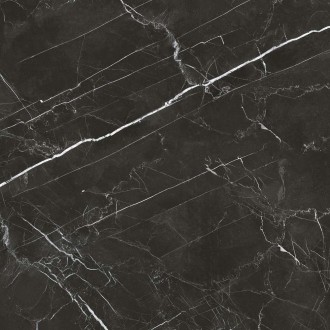 Royal Black 590x590