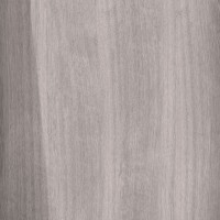 S1R01100 Soleras Grigio Rett 60x60
