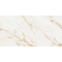 SALERNO Oro Polished 60x120