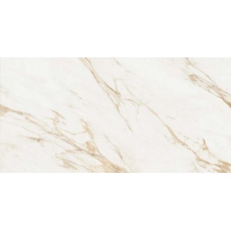 SALERNO Oro Polished 60x120