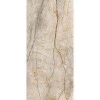 SAN PE6 278 RM Керамогранит 120x278