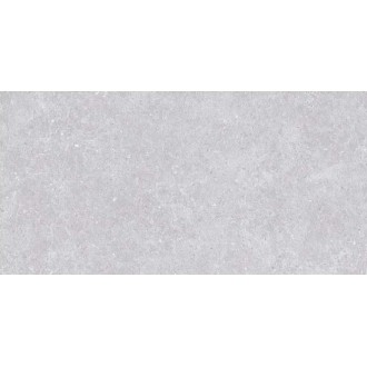 SE9544M50 Lasko Light Gray Semi Polish Rect 60х120
