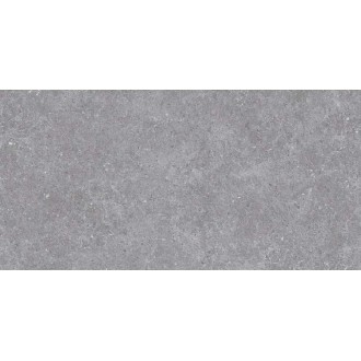 SE9545M35 Lasko Gray Semi Polish Rect 60х120