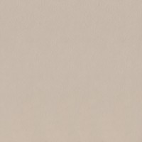 SG153000N Керамогранит Сафьян беж 40.2х40.2